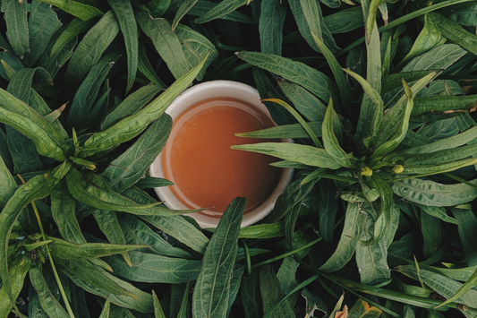 Natural Sources of Collagen